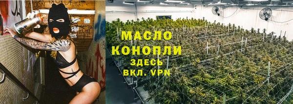соль ск Дмитровск