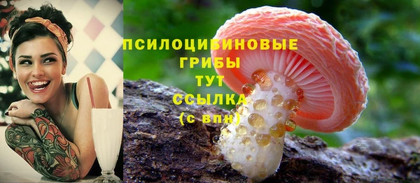 a pvp Балабаново
