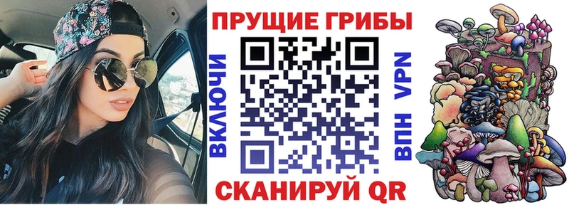 даркнет сайт  Судак  Псилоцибиновые грибы мухоморы 